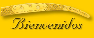 Bienvenidos
